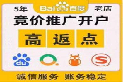 百度竞价赚钱的技巧与成功案例探讨